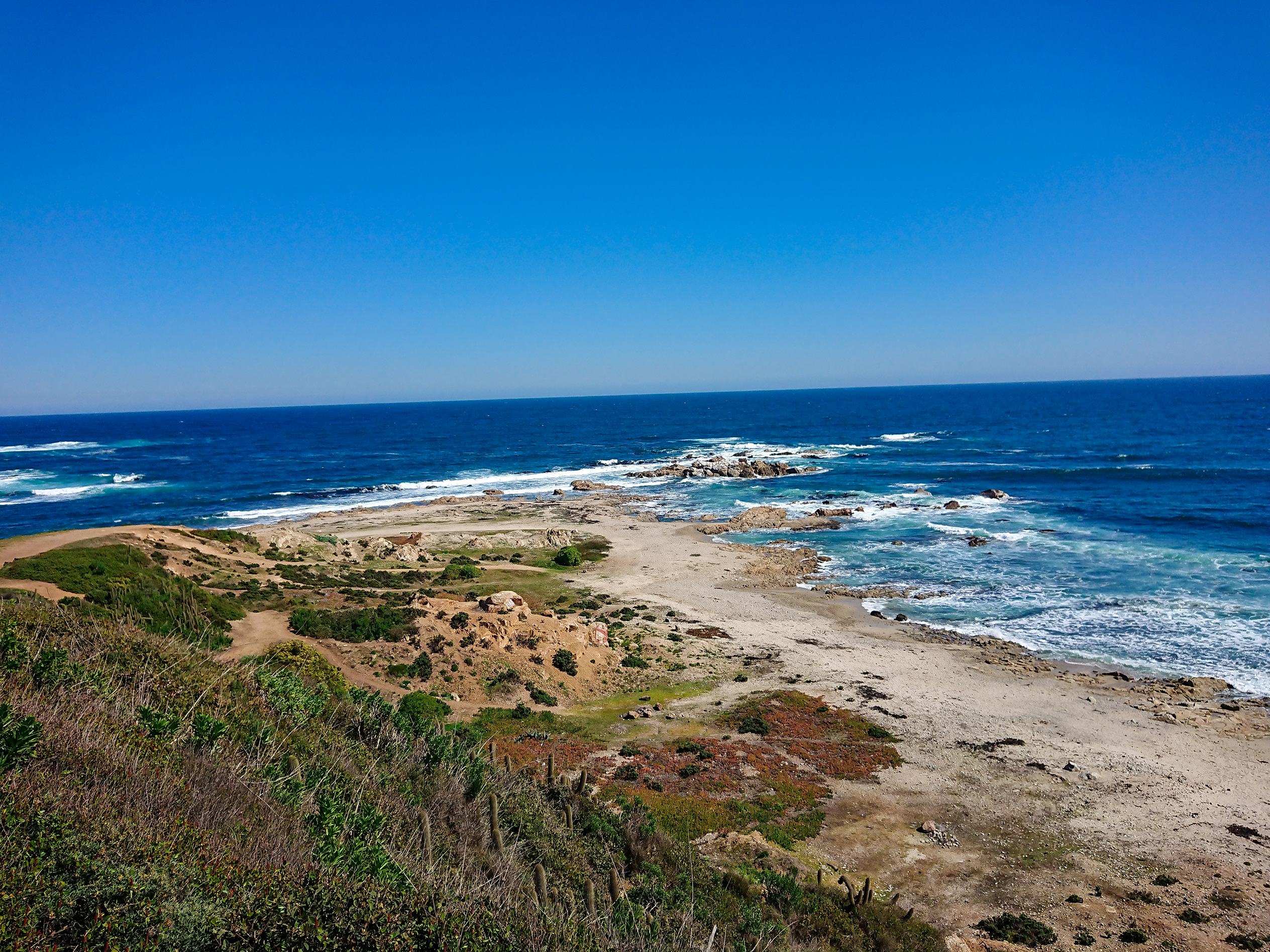 Algarrobo. Chile